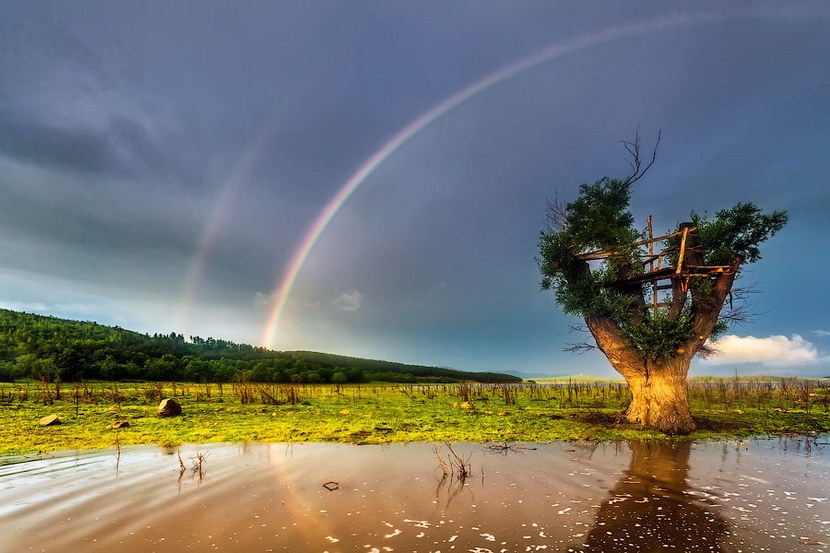 保加利亚 Zhrebchevo Lake – Photo: Evgeni Dinev