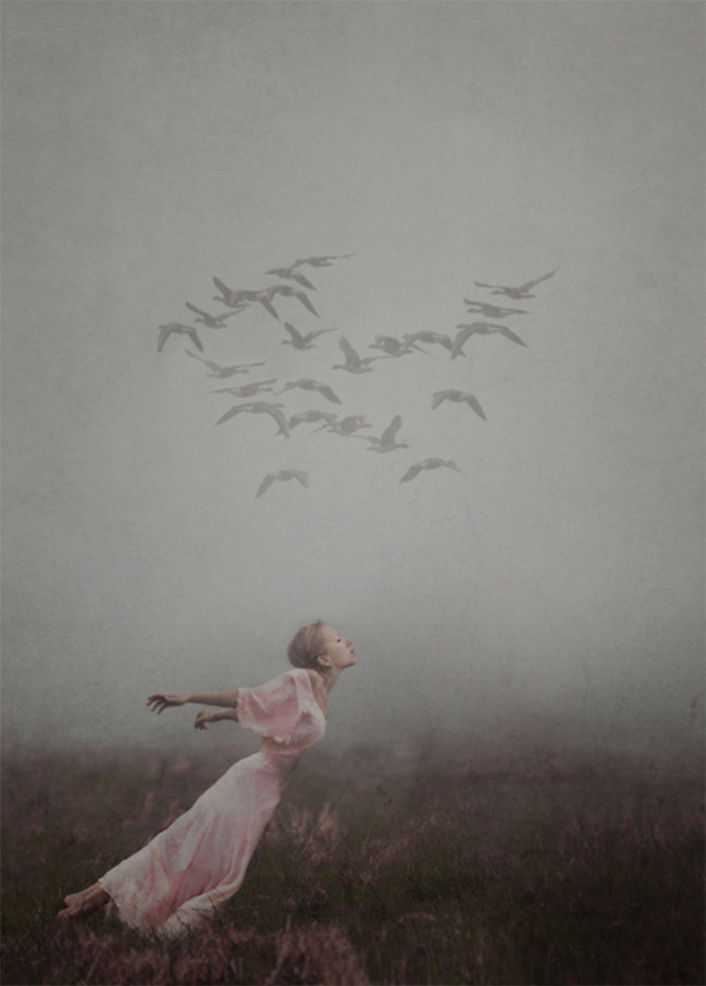 Kylli Sparre：梦中芭蕾