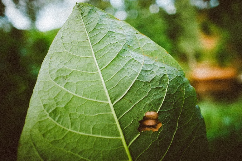 纪实摄影：童年遗梦