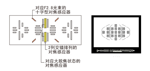 全方位的进化 佳能EOS 7D Mark II测评