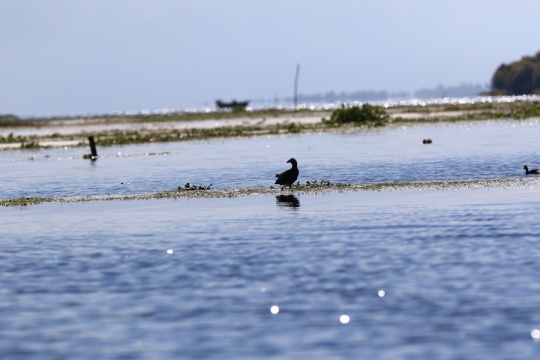 全方位的进化 佳能EOS 7D Mark II测评