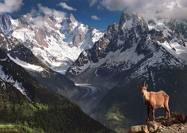 Max Rive：世界之巅