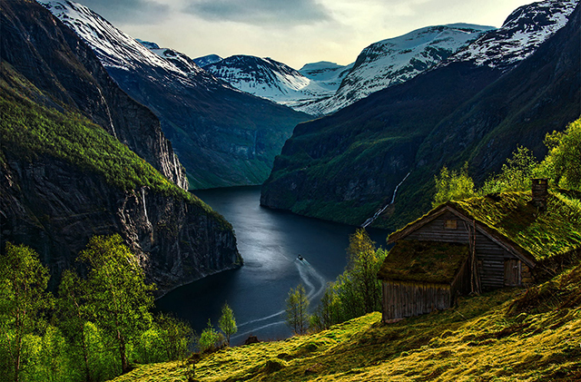 Max Rive：世界之巅