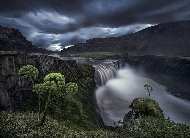 Max Rive：世界之巅