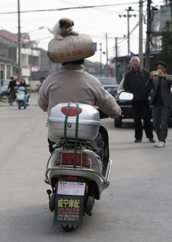 《“车技”惊心 ——电动自行车，且行且珍惜》