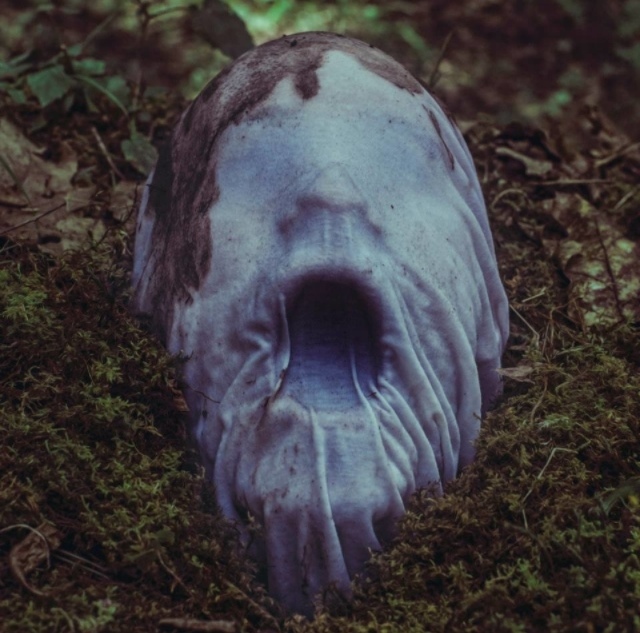 Christopher McKenney的黑暗超现实摄影