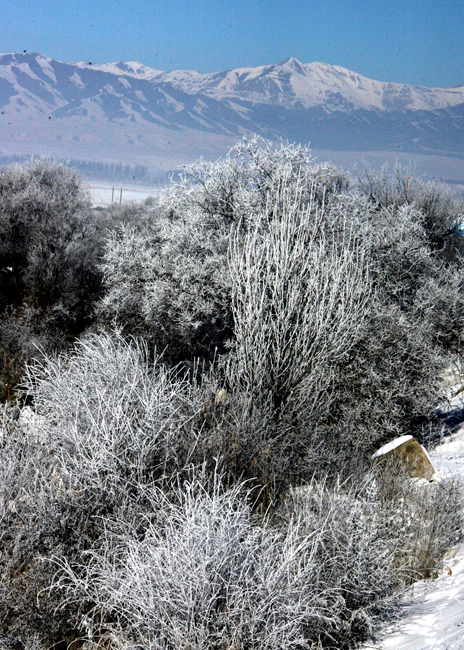 走近昭苏 感受“雪之恋”