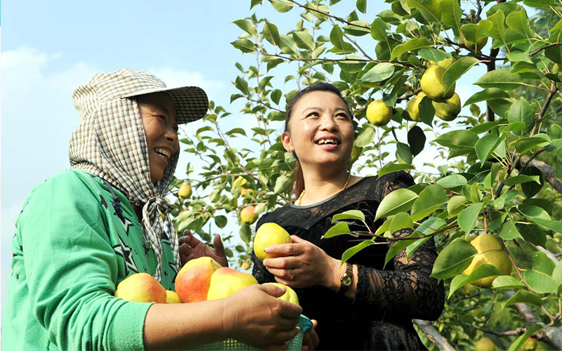 聚焦“枫叶之乡”辽宁本溪满族自治县