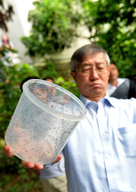 蚊子工厂，让蚊子绝后