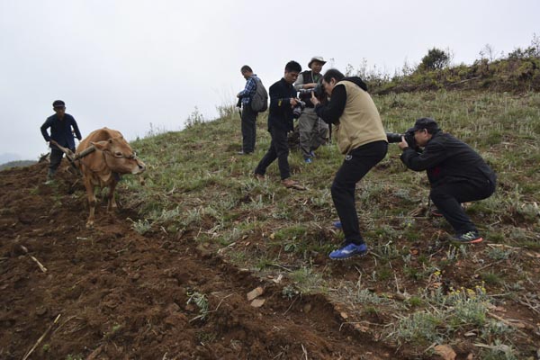 中国新闻摄影学会创作基地落户隆林