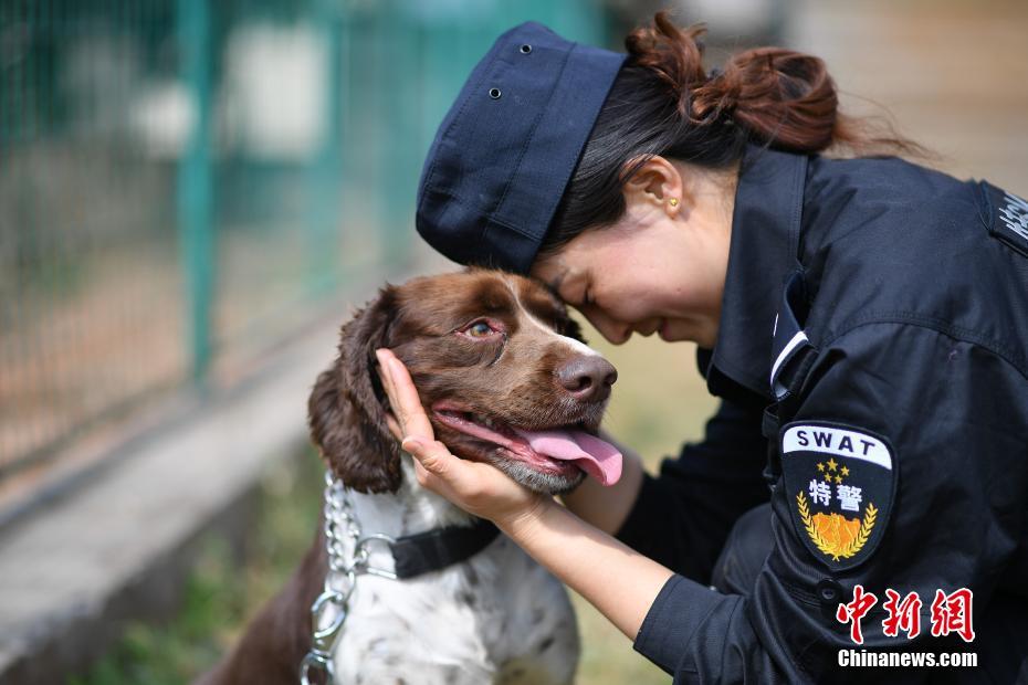 昆明铁路警方的训犬警花