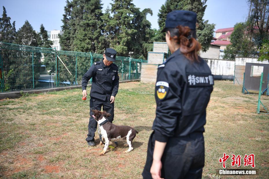 昆明铁路警方的训犬警花