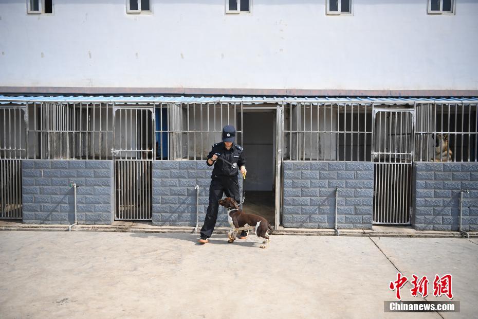 昆明铁路警方的训犬警花