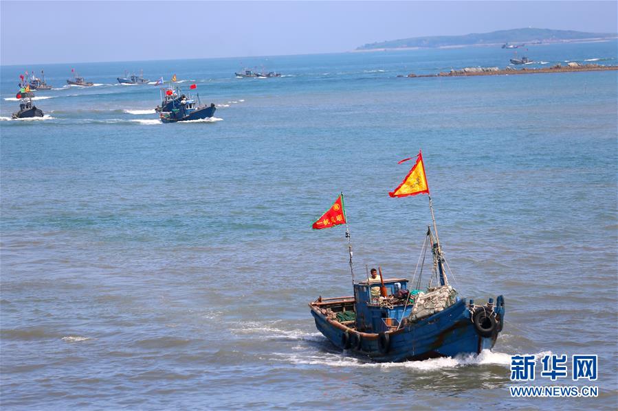 世界海洋日：保护和可持续利用海洋