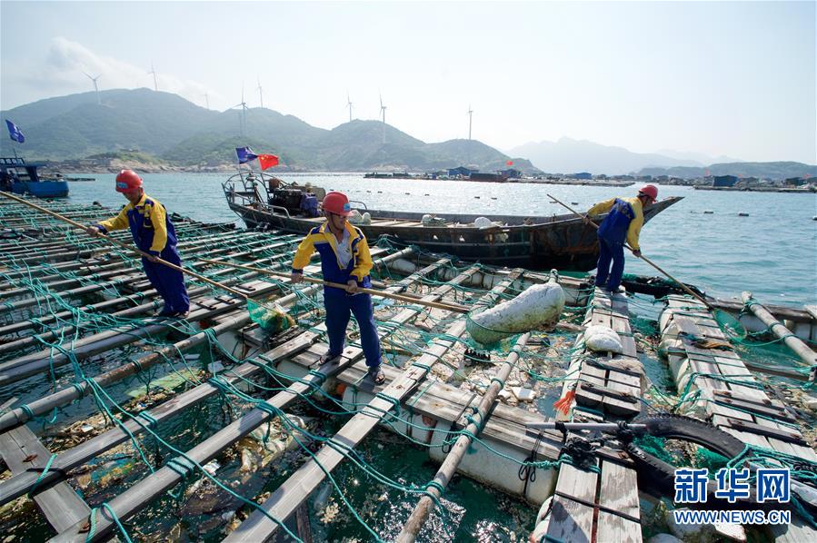 世界海洋日：保护和可持续利用海洋