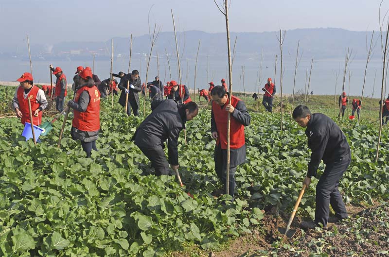 “清零”再行动——宜昌保护长江行动纪实