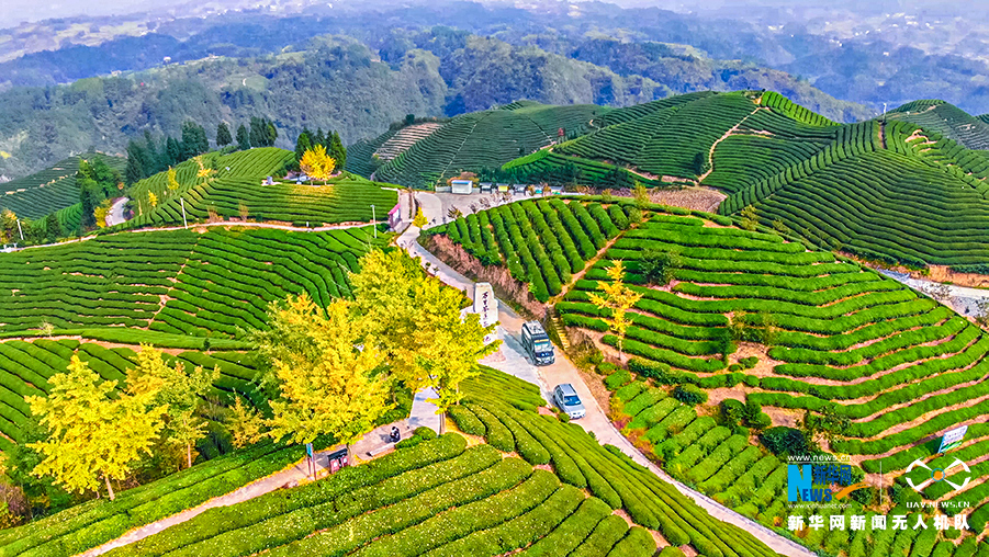冬夜寒居 山中暖阳
