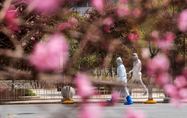 武汉：春在枝头已九分