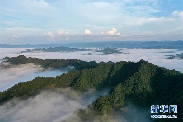 湖北利川：云海似画卷