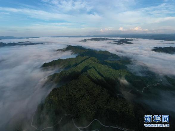 湖北利川：云海似画卷