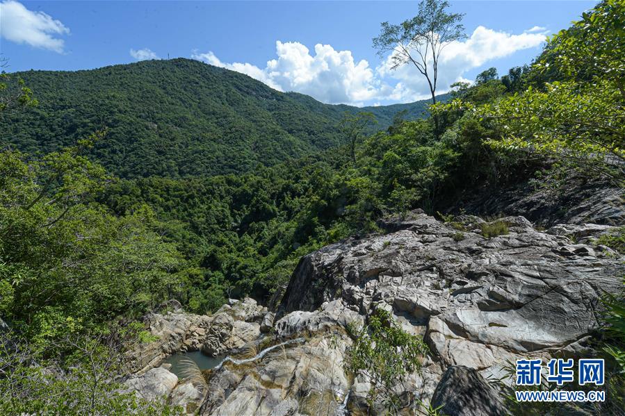 探访海南热带雨林国家公园