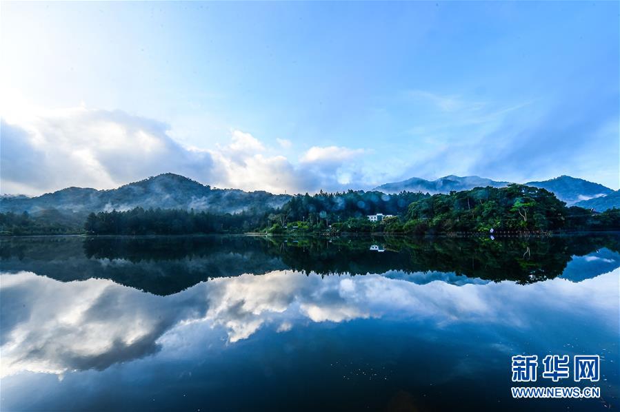 探访海南热带雨林国家公园