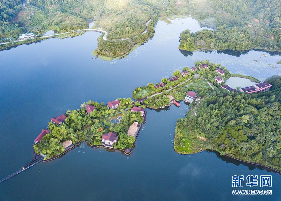 探访海南热带雨林国家公园