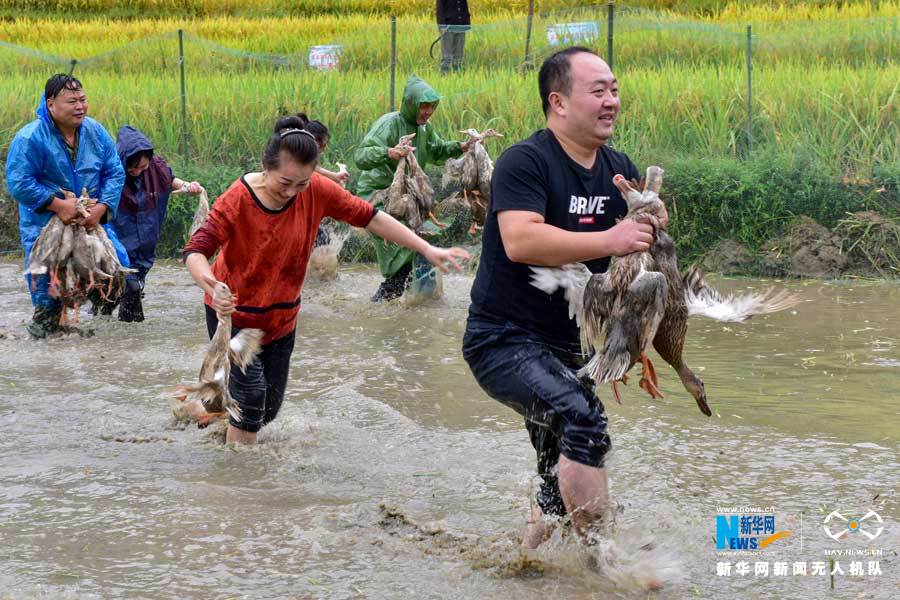 【“飞阅”中国】湖北蕲春：农民丰收节“农味”浓