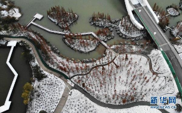 雪情雪景