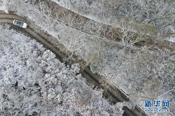 雪情雪景