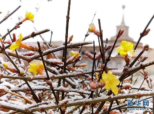 北京降春雪