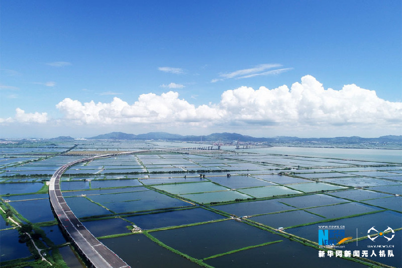 沿着高速看中国｜潮汕环线：穿行在青山绿水间的加密线