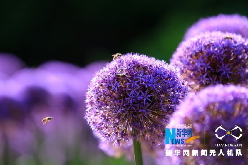 【“飞阅”中国】这就是“彩”云南美丽的样子！