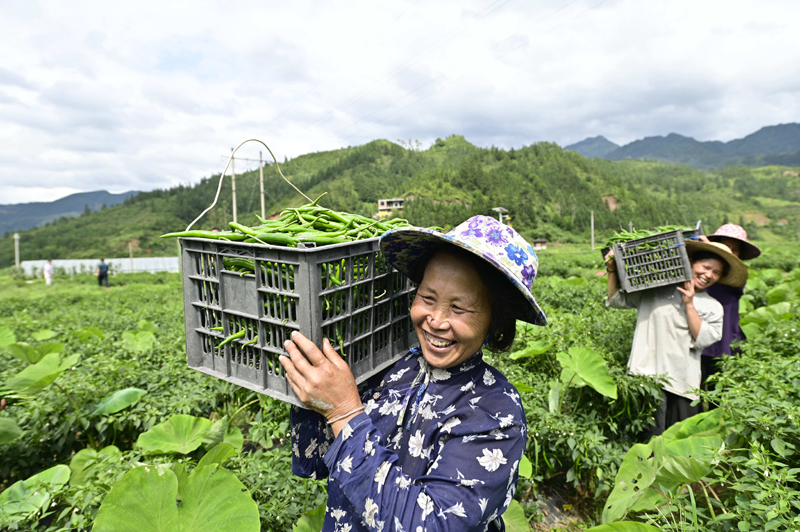 56个民族一起奔小康