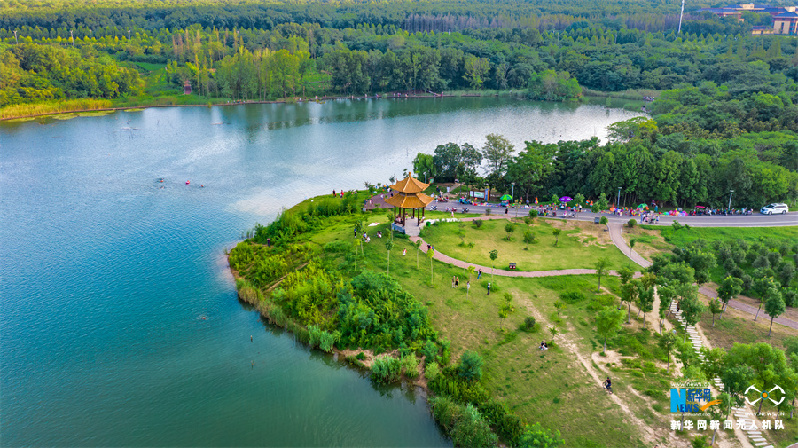 【“飞阅”中国】淮河之滨绿意浓