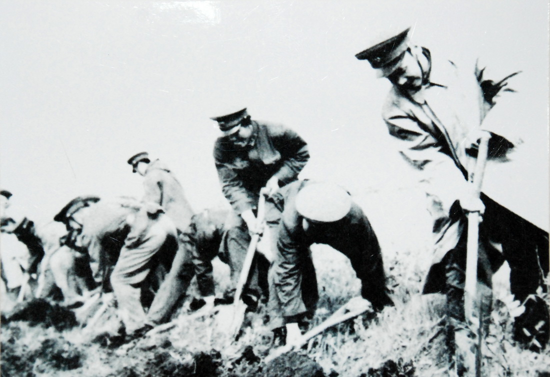 热血沃黑土——北大荒精神述评