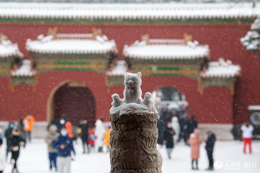 2月13日，在北京景山公园，游人在雪中撒欢。人民网记者翁奇羽摄