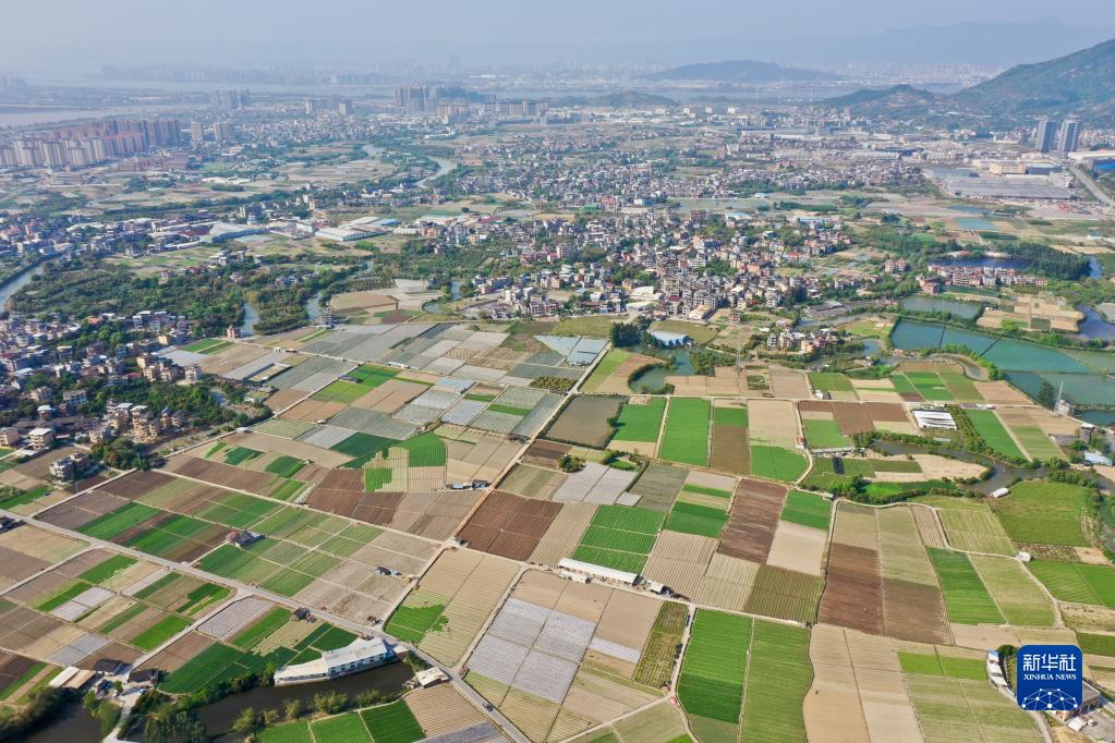 新华全媒+丨大地调色板 俯瞰春耕如画