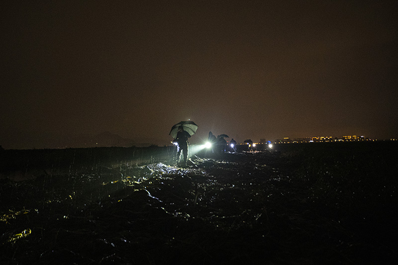 “鲸”心动魄 雨夜救援