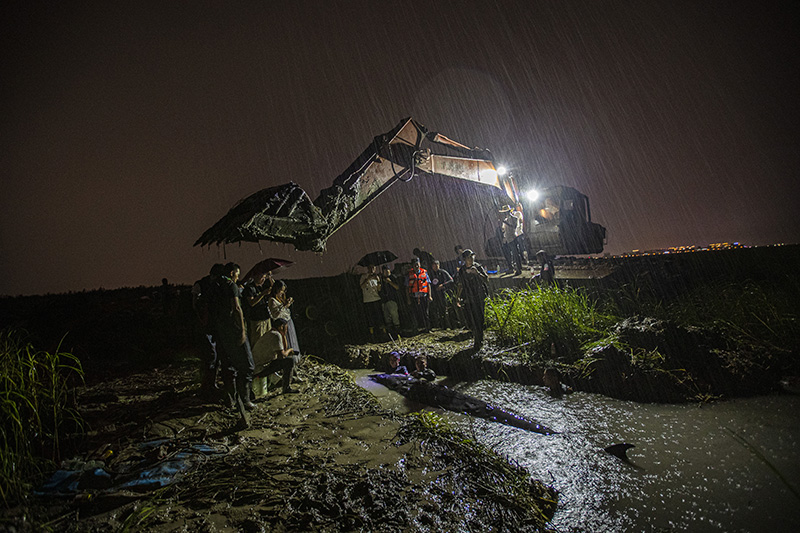 “鲸”心动魄 雨夜救援