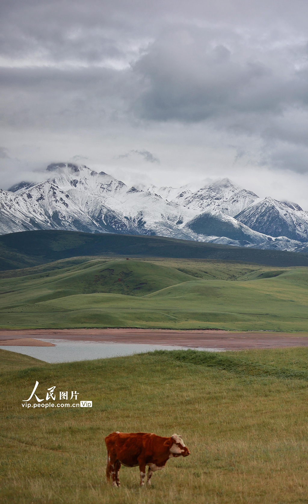 甘肃山丹马场：雨后草原风光如画