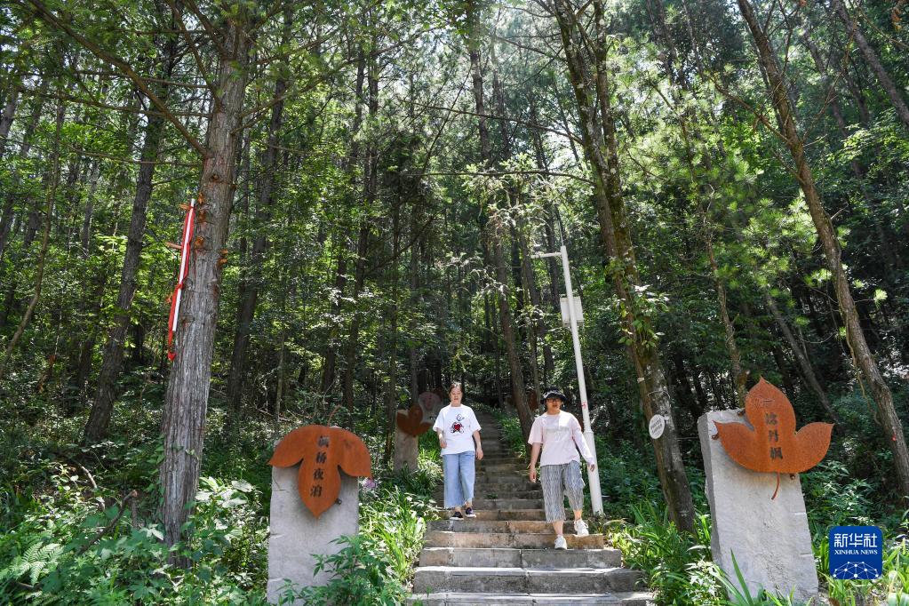 重庆万州：“美丽经济”助推乡村振兴