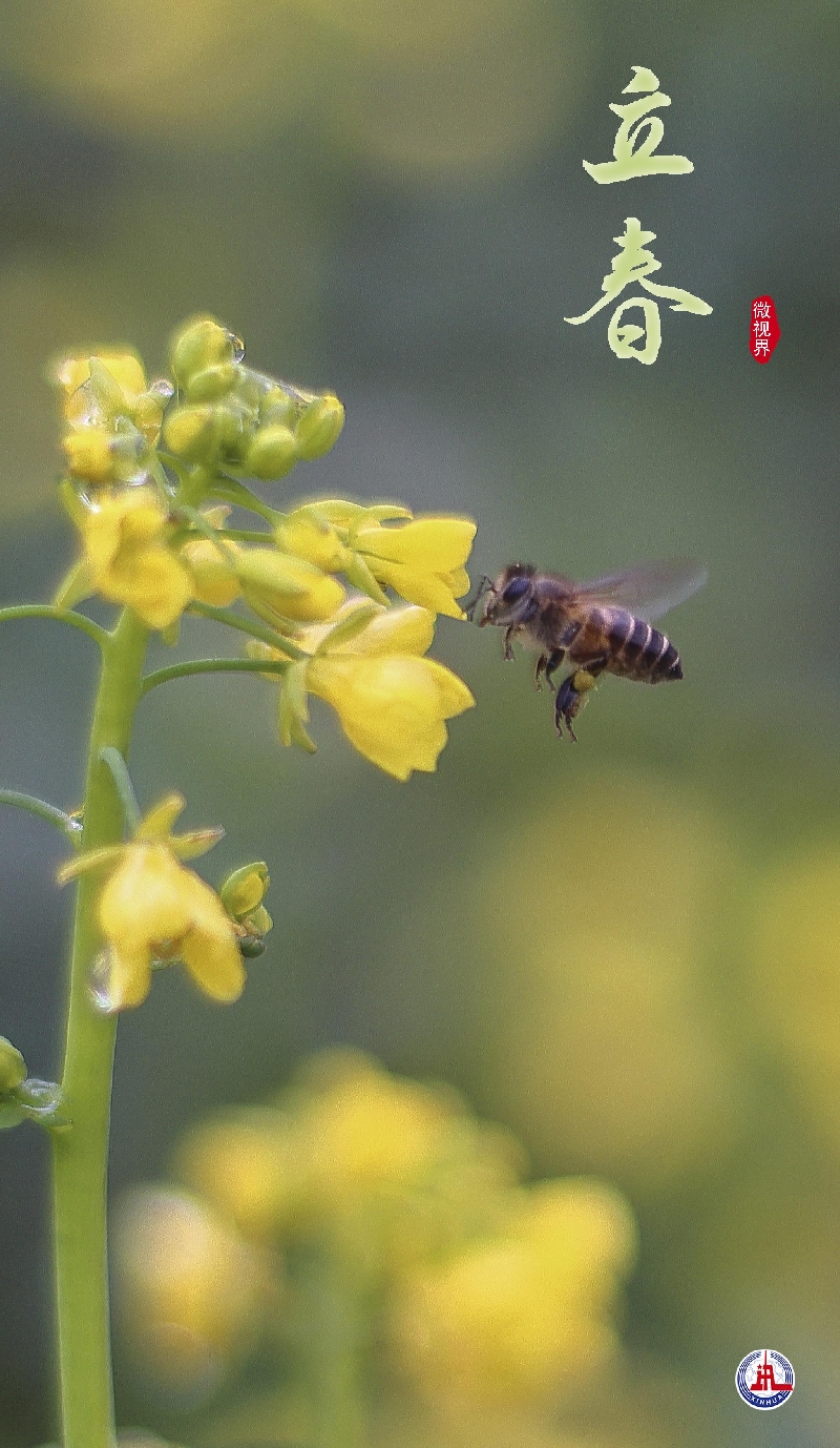 微视界——立春