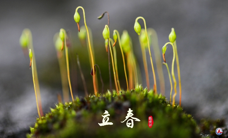 微视界——立春