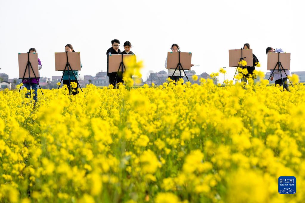 江西樟树：油菜花开春意浓