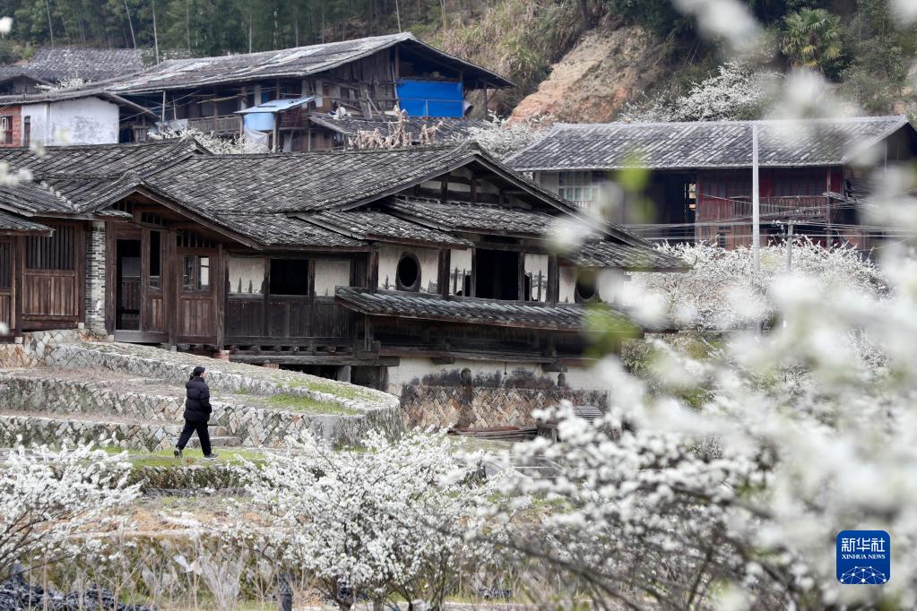 花开古村