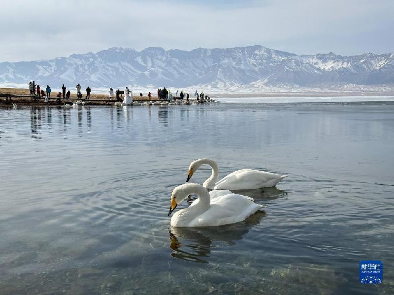 国道之行 从雪山奔向大海丨在赛里木湖邂逅蓝色“眼泪”