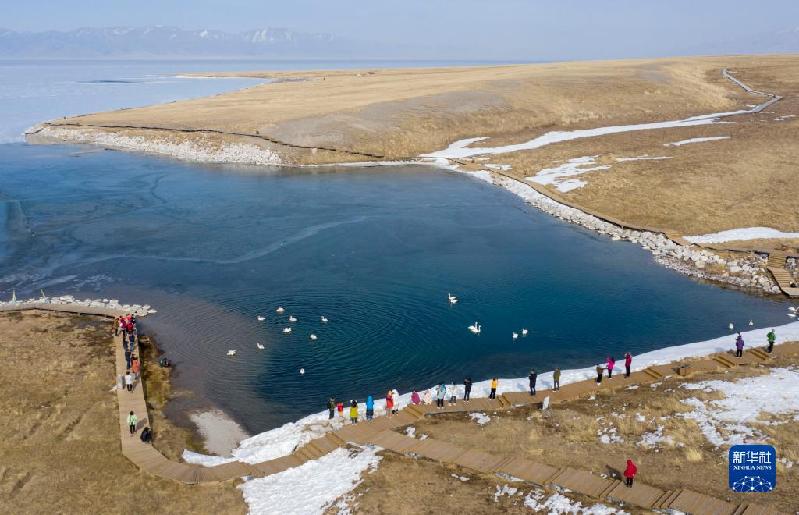 国道之行 从雪山奔向大海丨在赛里木湖邂逅蓝色“眼泪”