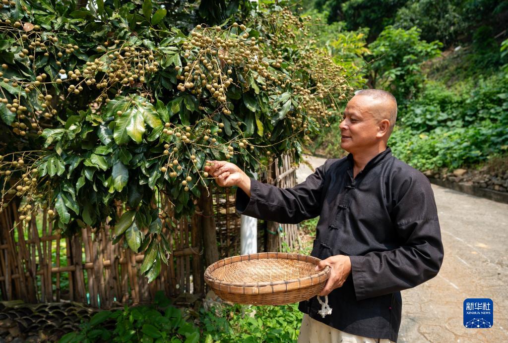 走进壮族风情坡芽村