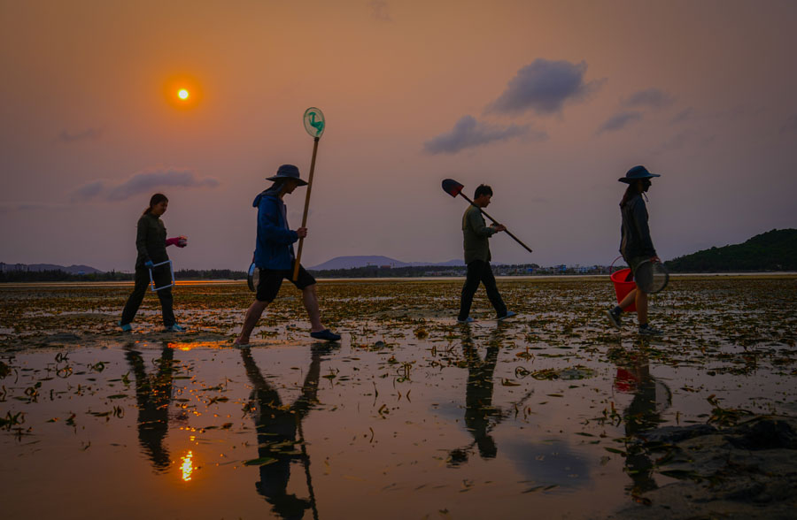 海中寻“碳”